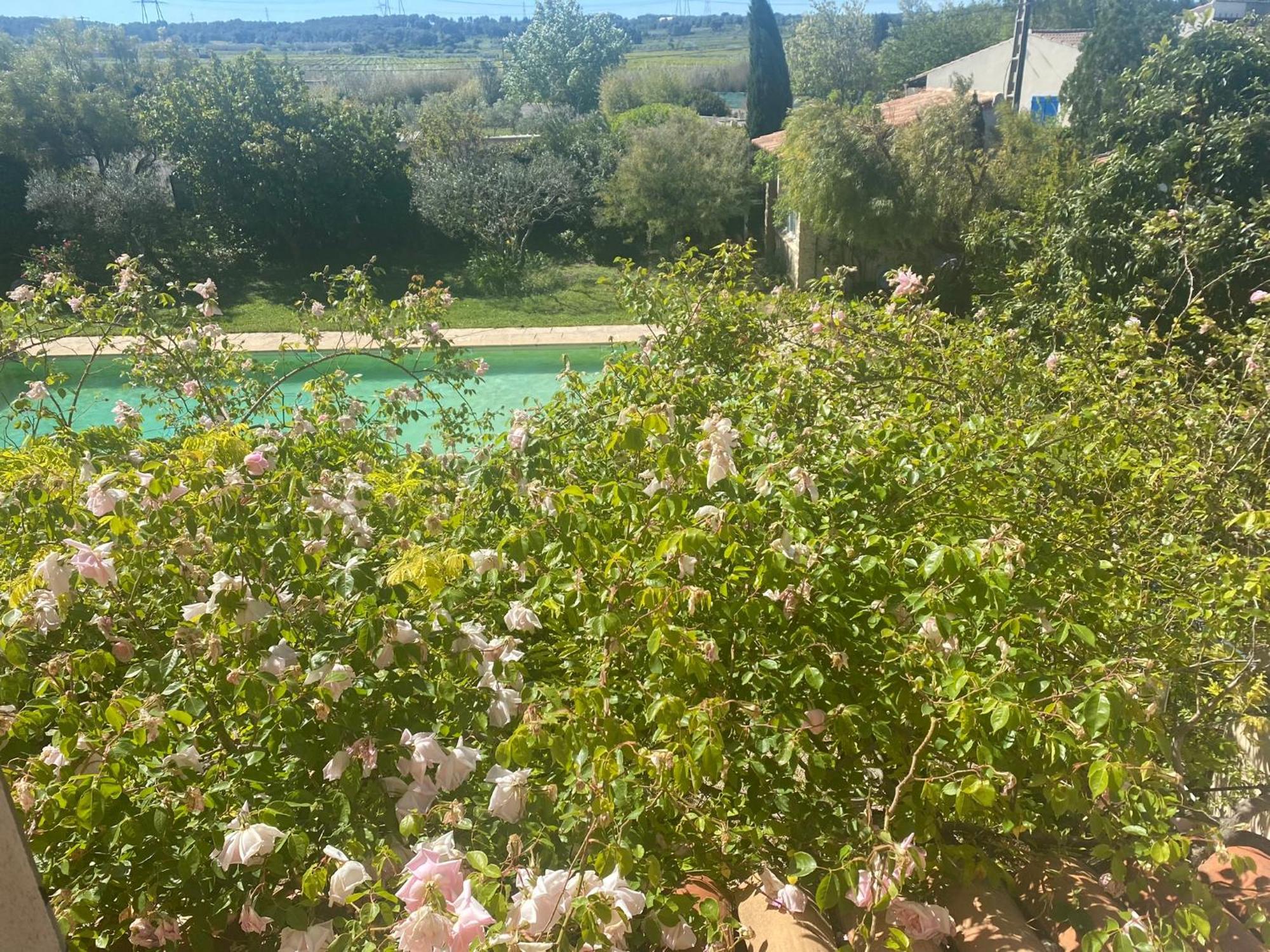 Le Mas Des Oliviers Martigues Exteriör bild