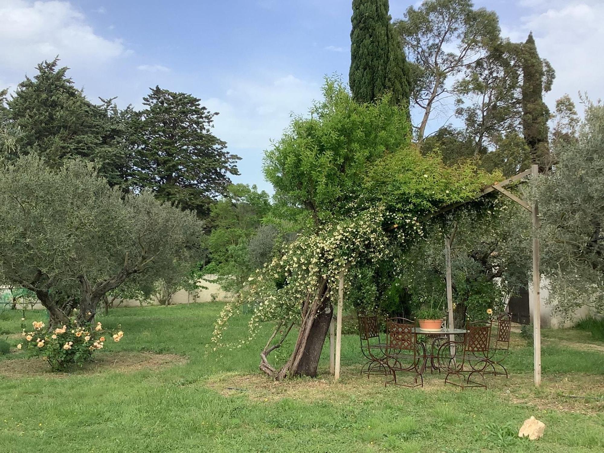 Le Mas Des Oliviers Martigues Exteriör bild