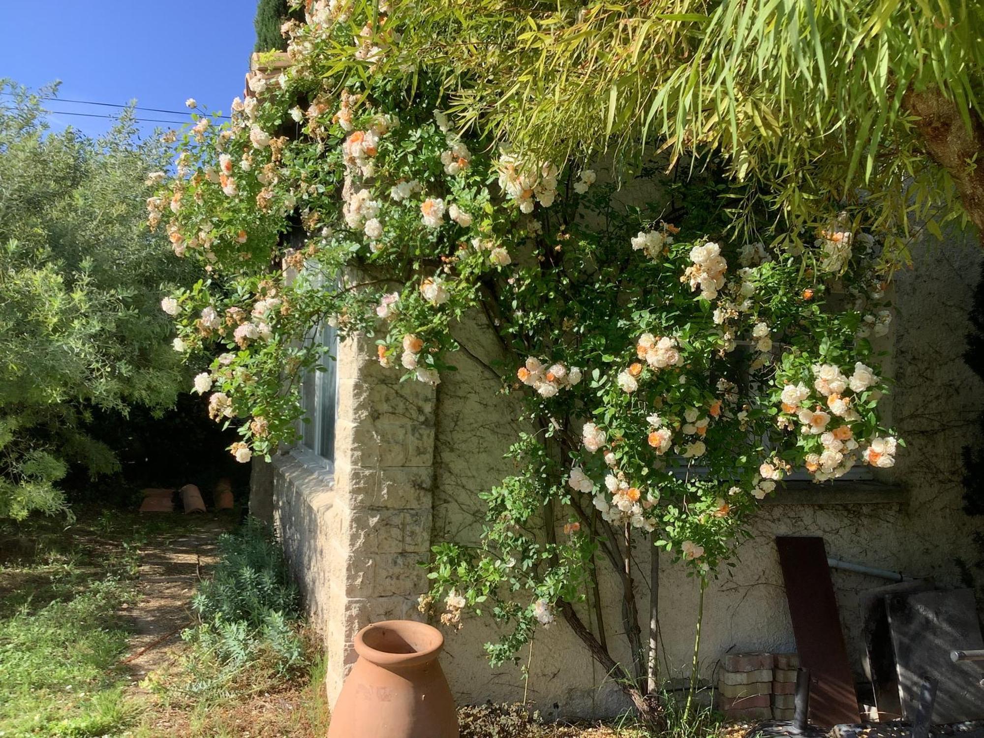 Le Mas Des Oliviers Martigues Exteriör bild